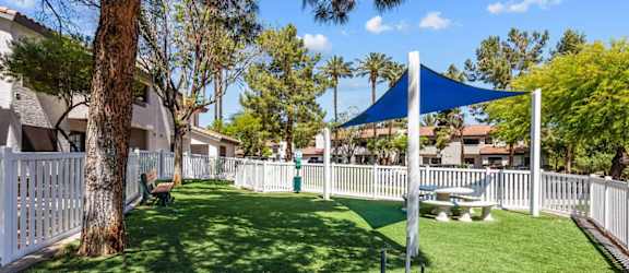 a grassy area with trees and a white fence