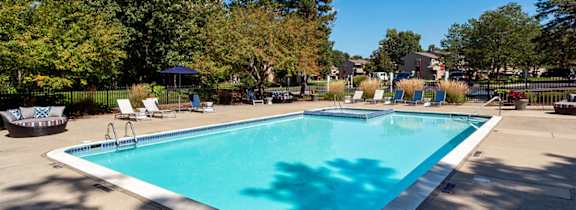A pool surrounded by trees and sun loungers.