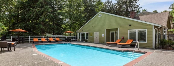 our apartments showcase a swimming pool