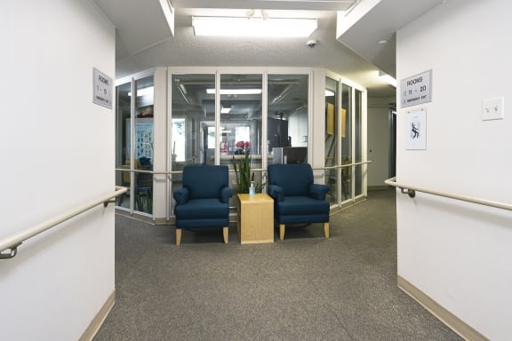 a room with blue chairs and a wooden table with a potted plant in it