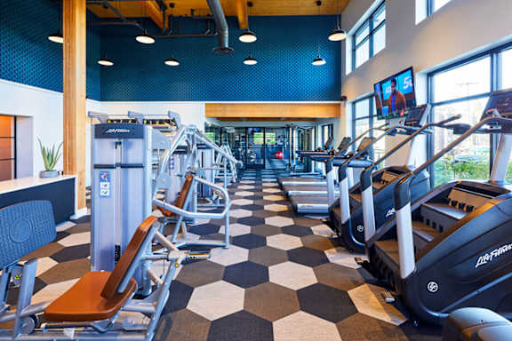 A gym with treadmills and exercise equipment.