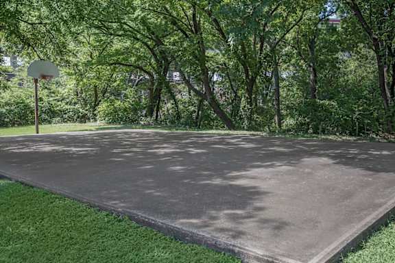 a basketball court in a park with trees