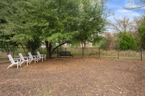 a group of chairs sitting under a tree in front of a fence at Radius on Grove, Austin, Texas