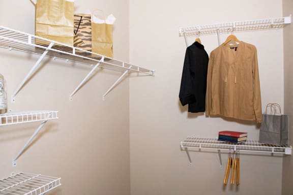 Walk-in/ Large Closets at Apartments Near Lenox Mall