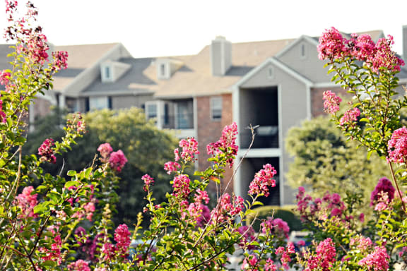 Well-maintained grounds and beautiful landscaping at Valley Ranch Apartments