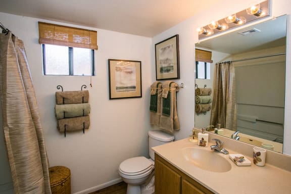 Model Bathroom at Spacious Apartments in Chandler, AZ 85226