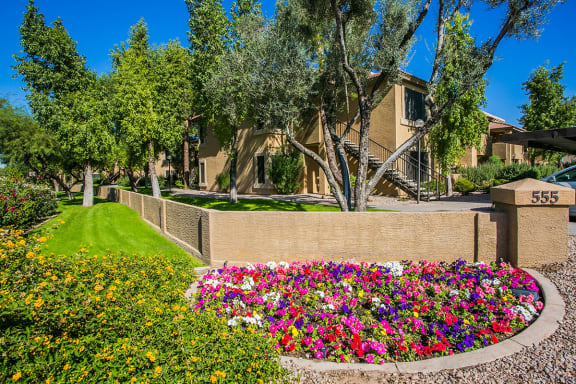 Apartments Near Chandler Fashion Mall with Beautiful Landscaping