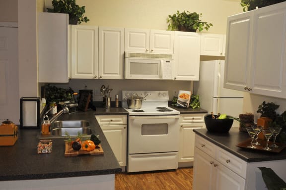 Downtown Thornton CO Apartments with Full Kitchen with Microwave and Dishwasher