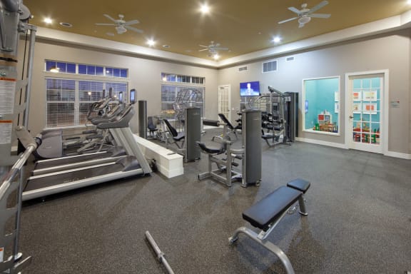 Fitness Center  at Skye at Arbor Lakes Apartments, Minnesota, 34105