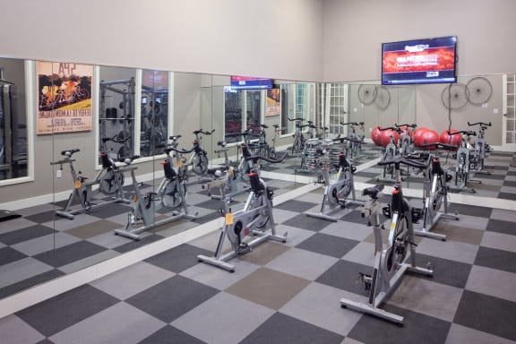 Gym at Skye at Arbor Lakes Apartments, Maple Grove, MN, 34105