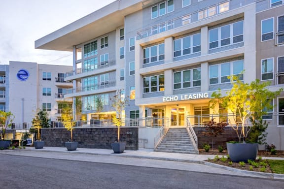 Pet Friendly Apartments in Uptown Dallas