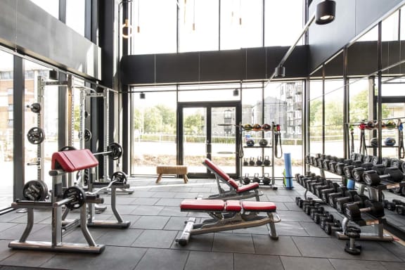 a gym with weights and cardio equipment in front of a window