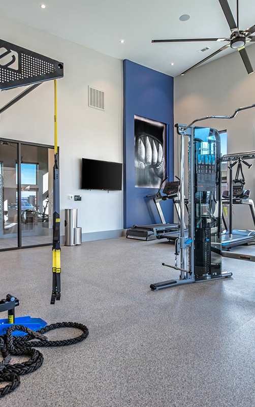 A gym with a variety of equipment including a weight rack, treadmill, and exercise bike.