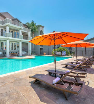 Swimming Pool With Relaxing Sundecks at Towne at Glendale, Glendale