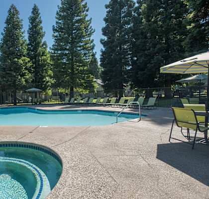 Outdoor pool and spa area with lounge chairs, patio tables, and mature trees at Pepperwood Apartments in Roseville, CA.
