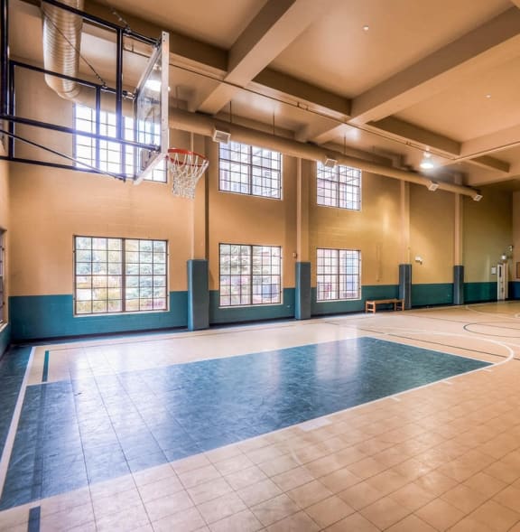 a basketball court in an empty gym with a basketball hoop at Viridian in Greenwood Village, CO