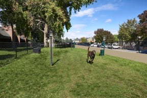 Large Dog Park at Sloan's Lake Apartments in Lakewood, CO, 80214