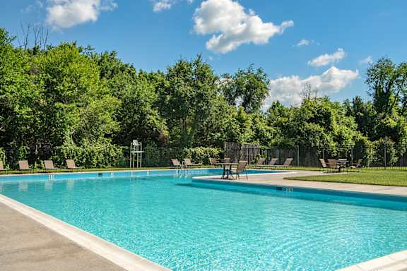 A large swimming pool surrounded by trees and lounge chairs.