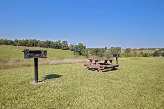 Picnic and BBQ