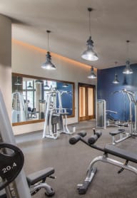 State Of The Art Fitness Center at Highgate at the Mile, McLean