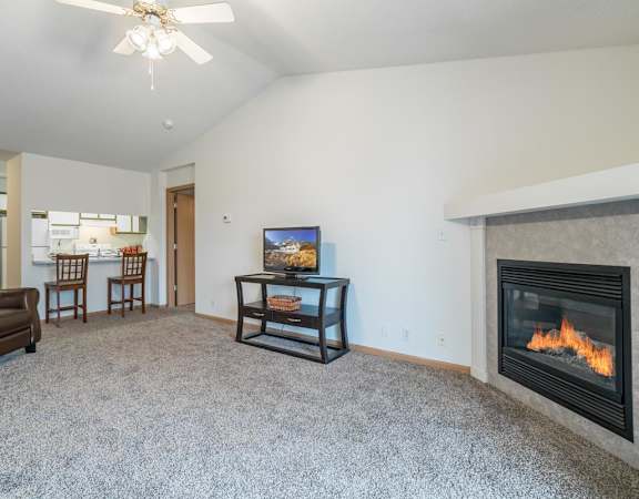 a living room with a fireplace and a couch