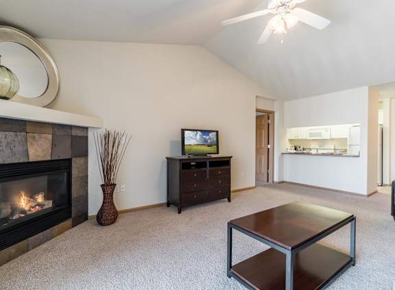 A living room with a fireplace and a television.