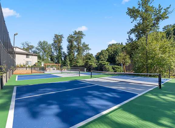 A tennis court with a net and trees in the background.