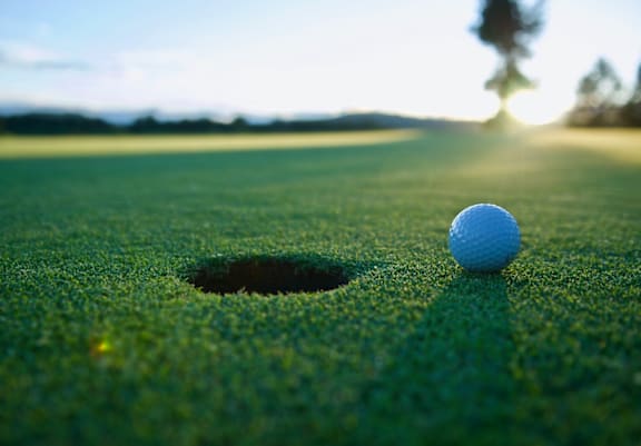 A golf ball is on the green near a hole.