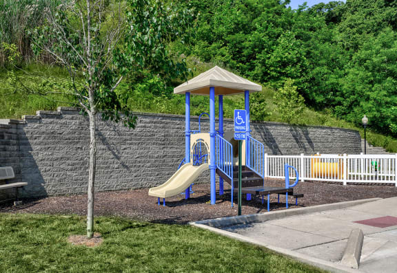 Pheasant playground