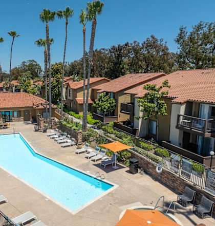 Swimming pool at the resort with palm trees