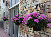 Thumbnail 3 of 5 - Flowers in a pot hanging on a wall.
