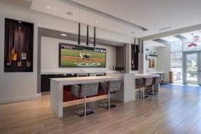 A modern room with a bar and a television playing a baseball game. at Dock 79, Washington, DC 20003