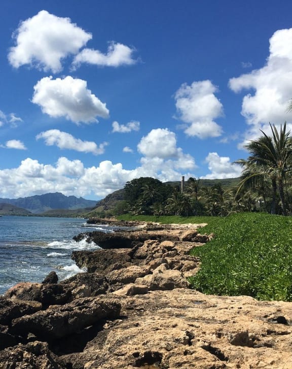 a rocky beach with the ocean and mountains in the background