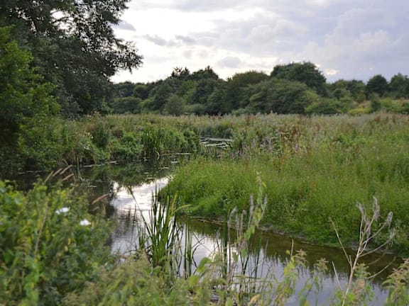 a small body of water surrounded by grass and trees