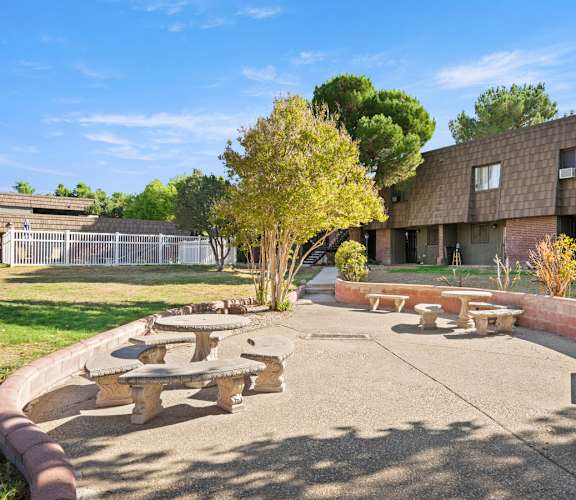 A courtyard with a tree, benches, and a building in the background.
