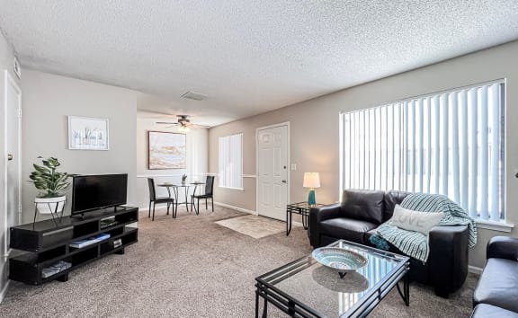 Living Room in Cedar Rapids Apartment