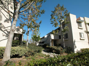 Rancho Verde Village Community Walkway