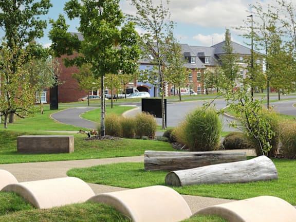 a park with logs and grass and trees and a road