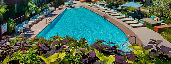 a large swimming pool with lounge chairs and umbrellas in front of an apartment building