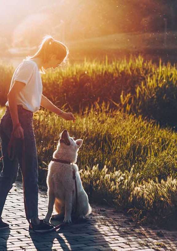 a person and dog looking at the grass