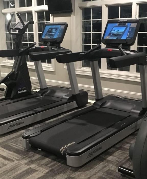 a row of treadmills in a gym at The Sanctuary of Lake Villa, Lake Villa, IL