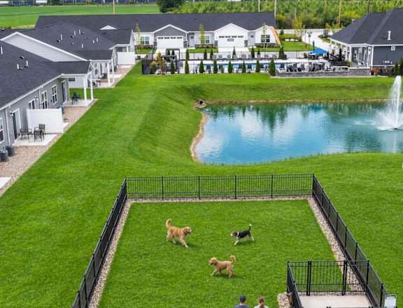 A black fence surrounds a grassy area with two dogs and three people.