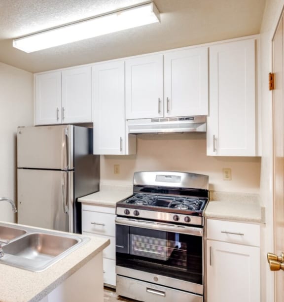 a kitchen with a sink and a stove and a refrigerator