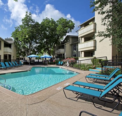 A swimming pool surrounded by blue lounge chairs and trees.
