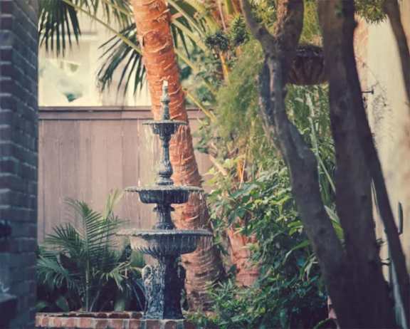 a water fountain in front of a palm tree