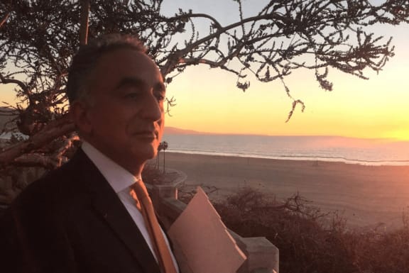 a man in a suit and tie standing under a tree overlooking the ocean at sunset