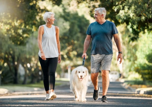 an older couple walking their dog in the park