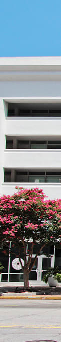 A tree with pink flowers in front of a white building.at The Palms on Main, Columbia, 29201