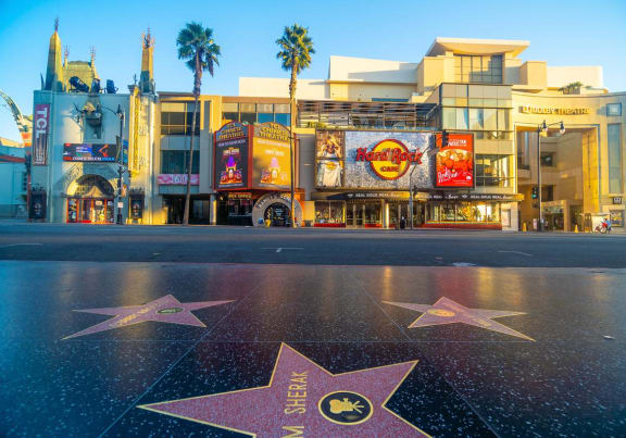 a view of the walk of fame outside of the hollywood star on the sidewalk