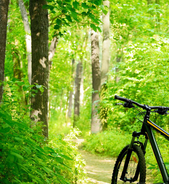 Biking nearby